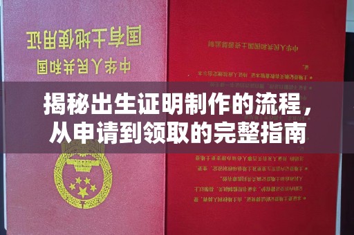 六枝揭秘出生证明制作的流程，从申请到领取的完整指南